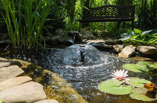 koi pond building
