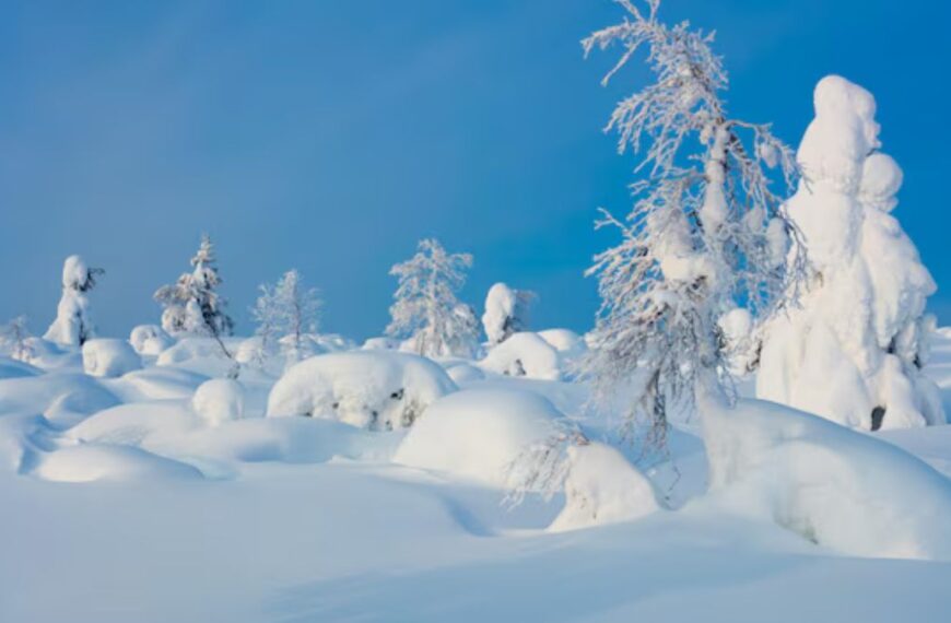 Snowhiter: Finding Warmth Inside the Cold Moments We Share